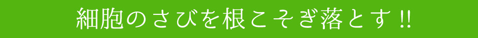 細胞のさびを根こそぎ落とす！