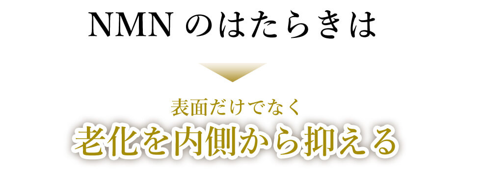 NMNのはたらきは老化を内側から抑える