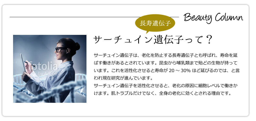 サーチュイン遺伝子って？
